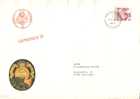 Schweiz / Switzerland - Umschlag Echt Gelaufen / Cover Used (u396) ## - Storia Postale