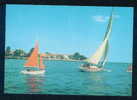 Région De Burgas / POMORIE - SAILING Segeln Nautisme (voile) Zeilen (varen) Bulgaria Bulgarien Bulgarie Bulgarije A5400D - Segeln