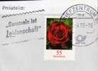 Sammeln Ist Leidenschaft BUND 2669, 2675 I  Plus II O 3€ Garten-Rosen Mit Duftender Rose Set Stamps Of BRD Germany - Rose