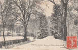 CPA  ETUFFF   Avenue Du Chateau (Saison D'hiver)  1909 - Torres De Agua