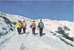 Taiwan - Marching On The Snow, Mt. Ho-Huan - Taiwan