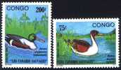 CONGO. Canards Sauvages. Anas Acuta Et Anas Platyrhynchos - Ducks