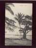 Guinée Conakry Le Phare   édit.de Schacht N° 110 - Guinea