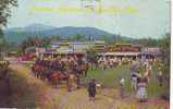 PN36 Hippisme Equitation Prairie Function At Frontier Town Used 1970 PPC Good Shape - Horse Show