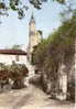 Vaison La Romaine ( Vaucluse) Le Beffroi Et Fontaine - Vaison La Romaine