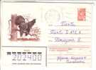 GOOD USSR Postal Cover 1982 - Birds - Grouse - Gallináceos & Faisanes