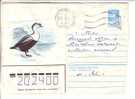 GOOD USSR Postal Cover 1983 - Bird - Entenvögel