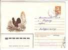 GOOD USSR Postal Cover 1983 - Bird - Grouse - Hoendervogels & Fazanten