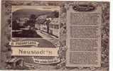 NEUSTADT A-H- NEPTUNPLATZ-GRUSSE 1919-PFALZER LIED-POSTKARTE ORIGINALE D´EPOCA-GUARDA - Neuzelle