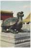 Turtle - Dragon Turtle Statue At The Imperial Palace, Beijing Of China, Old Postcard - Schildkröten