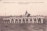 Cpa Du 84 - Carpentras - "La Ruche" Société Mixte De Danses Et Farandoles - Farandole Provençale - Carpentras