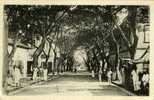 DAHOMEY .PORTO NOVO. AVENUE DOUMERGUE . (cette Carte Etait Collee Dans Un Album Voir Scan Verso) - Dahome