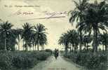 DAHOMEY.PAYSAGE DAHOMEEN COVE . (cette Carte Etait Collee Dans Un Album Voir Scan Verso) - Dahome