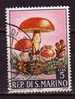 Y8525 - SAN MARINO Ss N°743 - SAINT-MARIN Yv N°698 - Used Stamps