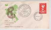 Belgium Cover With EUROPA CEPT Stamp Special Cancelled Tielt Europafeesten Automobiel Postkantoor 9-7-1960 With Cachet - Lettres & Documents