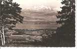 Le Lac LEMAN Et Le MONT-BLANC - Vue Du Col De La Faucille - Gex