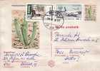 M.2207 - Roumanie  - Carte Postale  - Obliteration Speciale - Postmark Collection