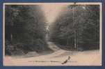 72 SARTHE - CP FORET DE PERSEIGNE PRES MAMERS - LES TROIS PONTS - CIRCULEE EN 1905 - Mamers