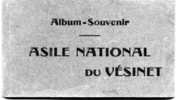 78 ASILE NATIONAL DU VESINETALBUM DE 13 CARTES POSTALES  EDIT LEVEQUE - Le Vésinet