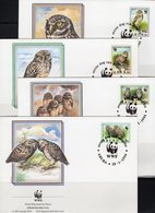 Käuzchen WWF-Set 155 Aruba 134/7 FDC 10€ Fauna Eulen Naturschutz Dokumentation 1994 Covers Birds Athene Owl Caribic - FDC