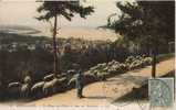 Delcampe - HOULGATE 1 LA ROUTE DE VILLIERS ET VUE SUR HOULGATE (BERGER ET SES MOUTONS) 1924 - Houlgate