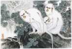 Monkey - Singe - White Monkey Family, Traditional Chinese Painting By SHI Yongcheng, China - Scimmie