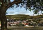 Niederbronn-les-Bains   Bas Rhin  Vue Générale   Gde Dentelée : Couleurs - Bon état - - Niederbronn Les Bains