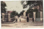 CARTE POSTALE Montgeron Rue De La Folie 1904 - Montgeron