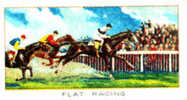Image Cartonnée Début 20° Siècle  /  Flat Racing  /  Hippisme  /  Course De Chevaux  /  The Derby - Equitation