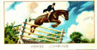 Image Cartonnée Début 20° Siècle  /  Hippisme / Horse Jumping / Saut D'obstacles / Course Chevaux / - Equitazione