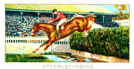 Image Cartonnée Début 20° Siècle  /  Hippisme / Steeplechasing / Steeple Chase / Course De Chevaux - Equitation