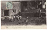 CARTE POSTALE A La Campagne La Clef Des Champs 1906 Ferme Fermier Cochons Oie Moutons Brebis - Fattorie