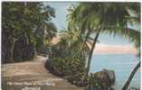 AMERICA - ANTILLES - JAMAICA - THE COAST ROAD AT PORT MARIA - CIRCA -1905 - Jamaïque