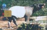 # INDONESIA A4 Tapir 100 Siemens  -animal- Tres Bon Etat - Indonesië