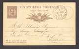 Italy Postal Stationery Ganzsache Intero Cartolina Postale FIRENZE 1881 To Livorno - Ganzsachen
