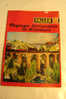 TRAINS JOUETS HO / CATALOGUE GENERAL FALLER  1975 / 76 / TRES BEL ETAT - Sonstige & Ohne Zuordnung