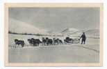 USA - ALASKA / ARTIC, Expedition, Dogs Pulling Slates - Missions