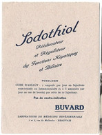 Buvard Sodothiol Reeducateur - Drogisterij En Apotheek