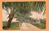 Key West Fl----Band Stand & Parade Ground--- Circa 1907 - Key West & The Keys