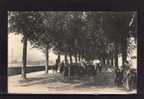 31 ST GAUDENS Promenade Des Tilleuls, Très Animée, Ed Labouche 211, N°2, 1905 - Saint Gaudens