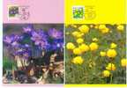 Finlande  -  Fleurs  -  2 Cartes Maxima De 1992 - Cartoline Maximum