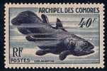 ARCHIPEL DES COMORES-N°13 NEUF** - COTE 36€ - Otros & Sin Clasificación