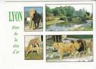 PARC DE LA TETE D´OR  -  LYON -  4 Vues  :  ELEPHANT - GIRAFE -  LIONS  - N° 2643   . - Elephants