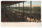 USA - NEW YORK, Belmont Park, Race Track, 1908 - Hípica