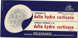 Buvard Laboratoires Delagrange Delta Hydro Cortisone - Chemist's