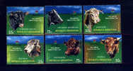 Argentina'96 YT2040-45 ** Sanidad Del Ganado: Aberdeen Angus, Holando, Hereford, Brahman, Shorthon, Criolla. - Koeien