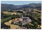 81 - DOURGNE - Vue Aerienne - Bord Dentelé - Dourgne