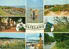 Vlieland - Meerbeeld - Vlieland