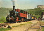 BOURCIEU LE ROI (07) Cpm Train En Gare Gros Plan Ligne Tournon Lamastre - Autres & Non Classés