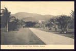 Cpa  Jamaica  Jamaique  Driving Road Through Hope Gardens - Jamaïque